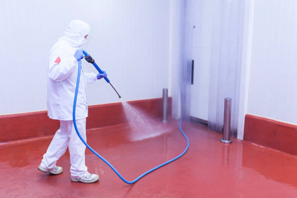 Reliable Nebo, NC Pressure Washing Solutions