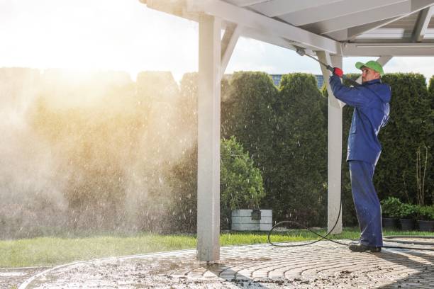 Best Animal Enclosure Cleaning  in Nebo, NC