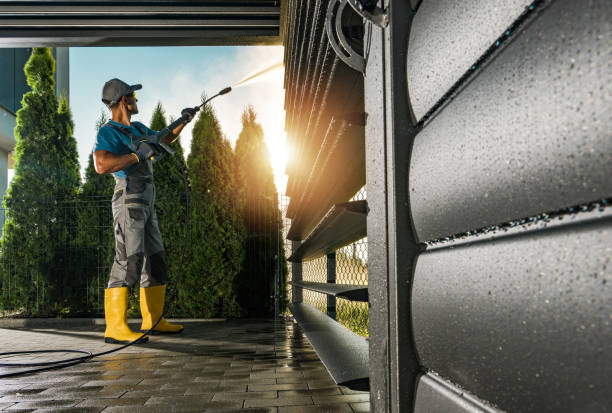 Best Roof Washing  in Nebo, NC